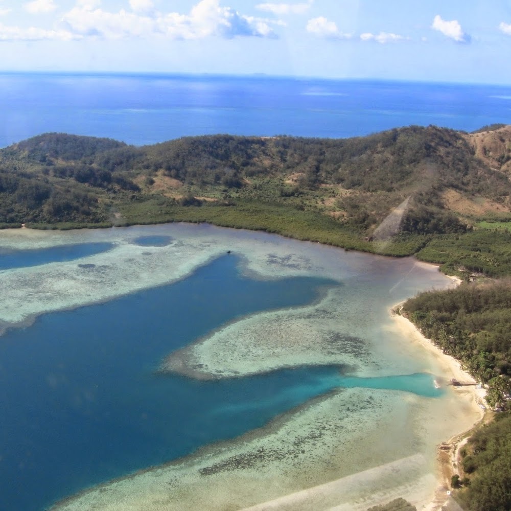 Meet your Posher, Juki!